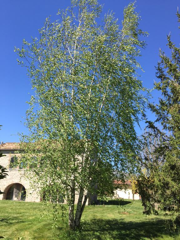 Agriturismo Le Due Arcate Villa San Massimo  Luaran gambar